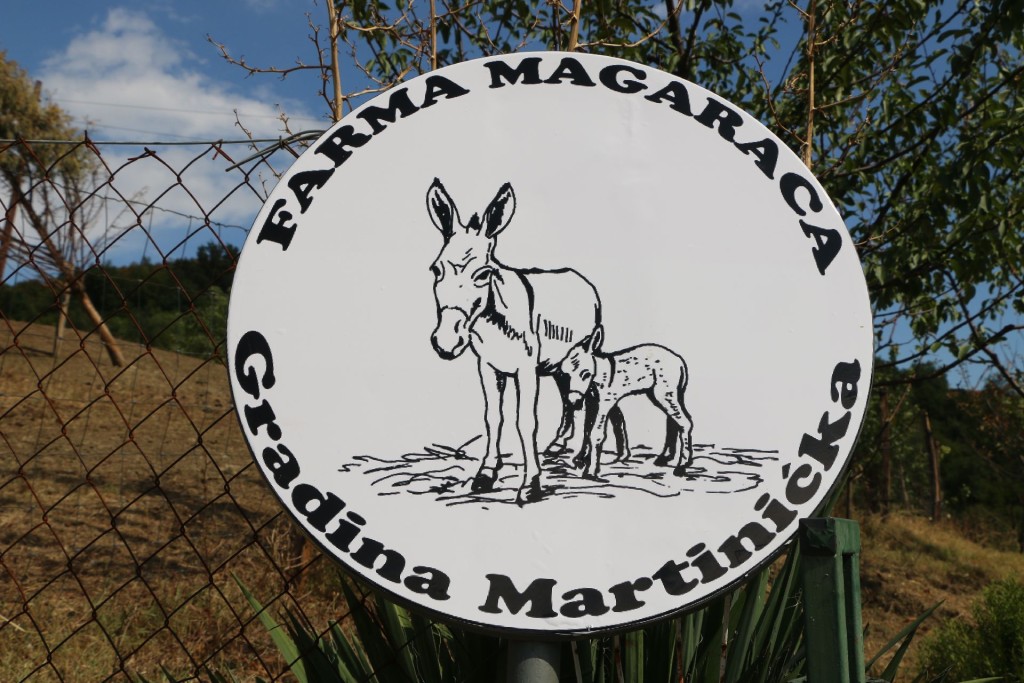 donkey farm Martinici2