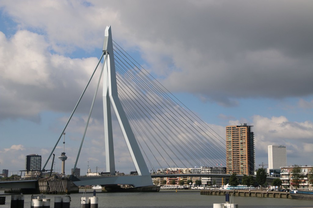 rotterdam7-erasmus-bridge