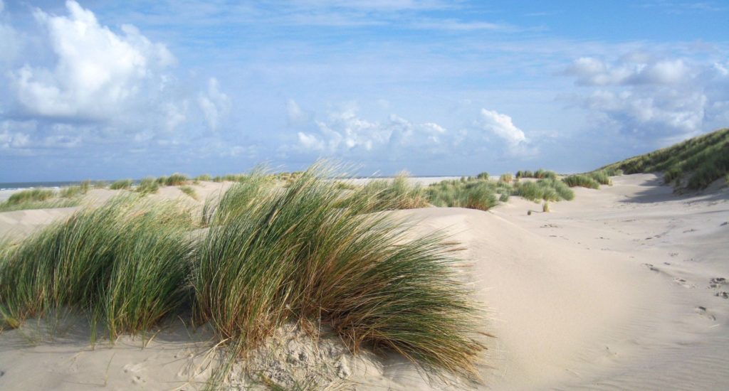 Dutch skies2 sand dunes