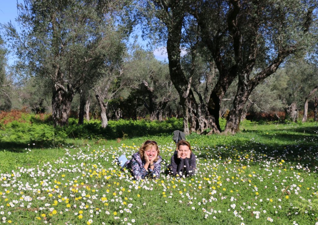Krajina9 olive groves Murići