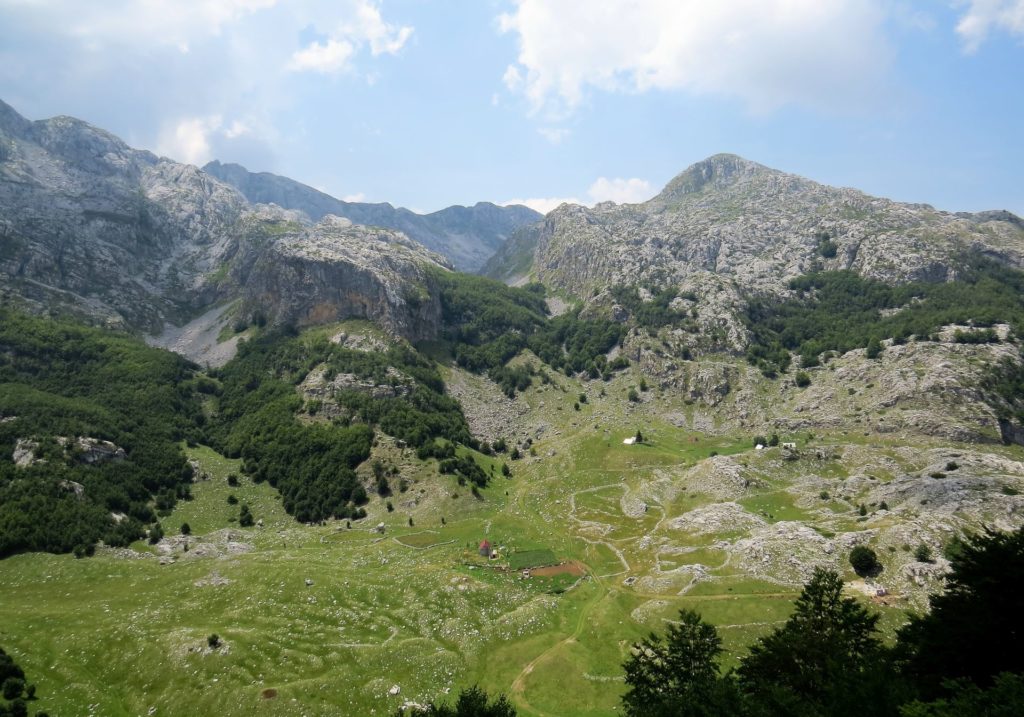 View from Mt Torac