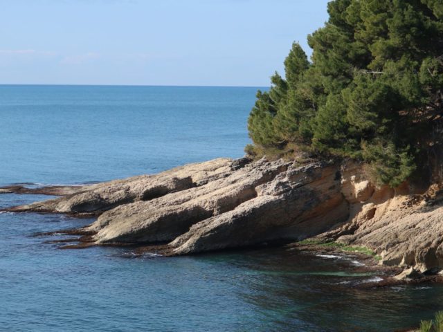 Ulcinj pine forests