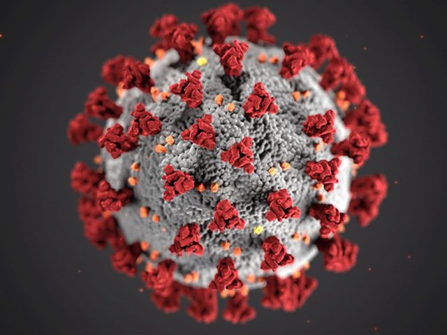 corona virus