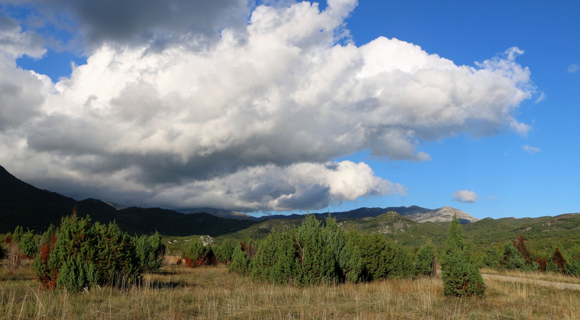 Kopilje plateau