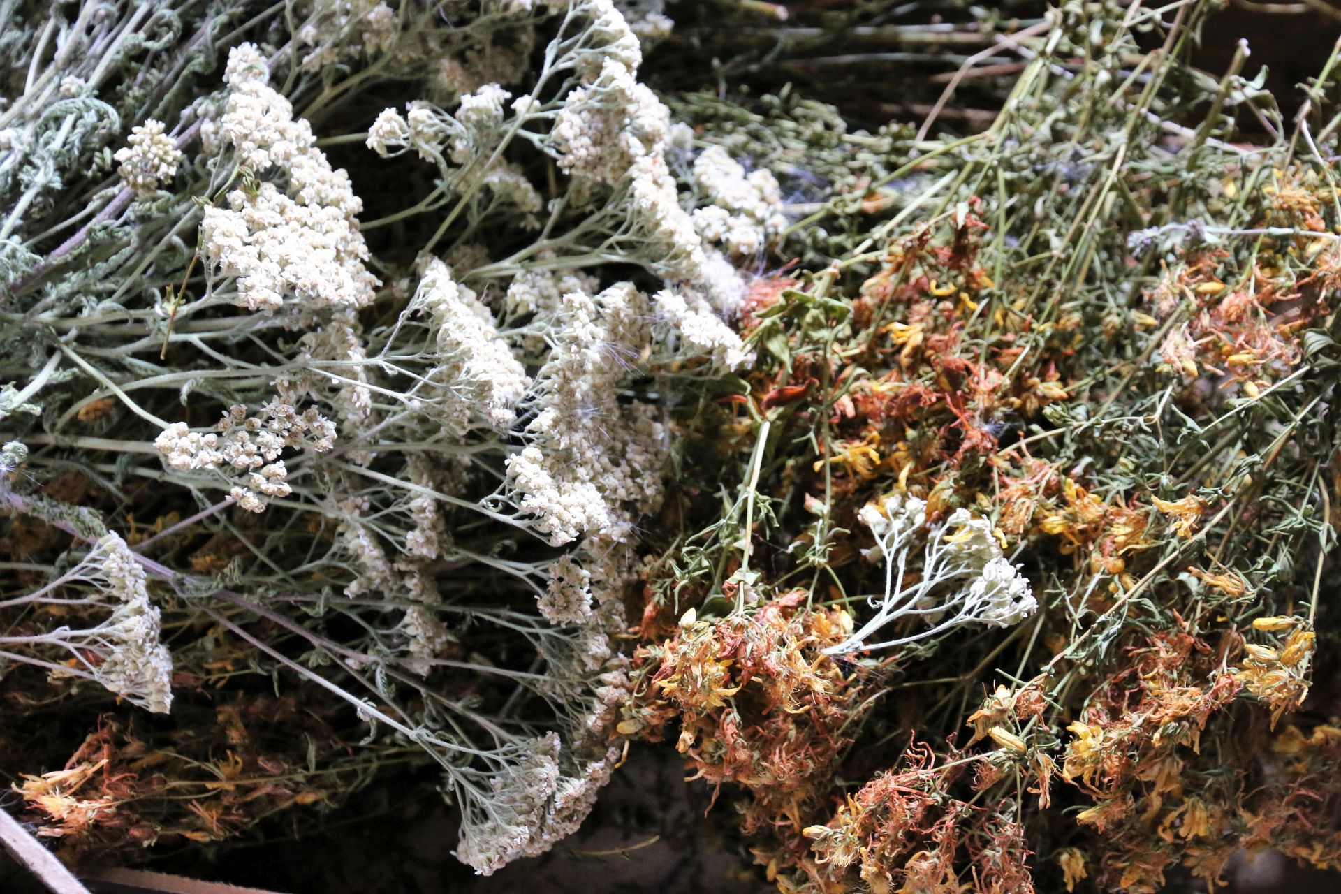 dried yarrow and St. John's wort