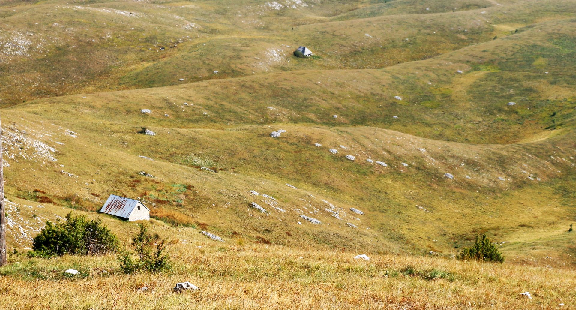 Crkvičko Polje