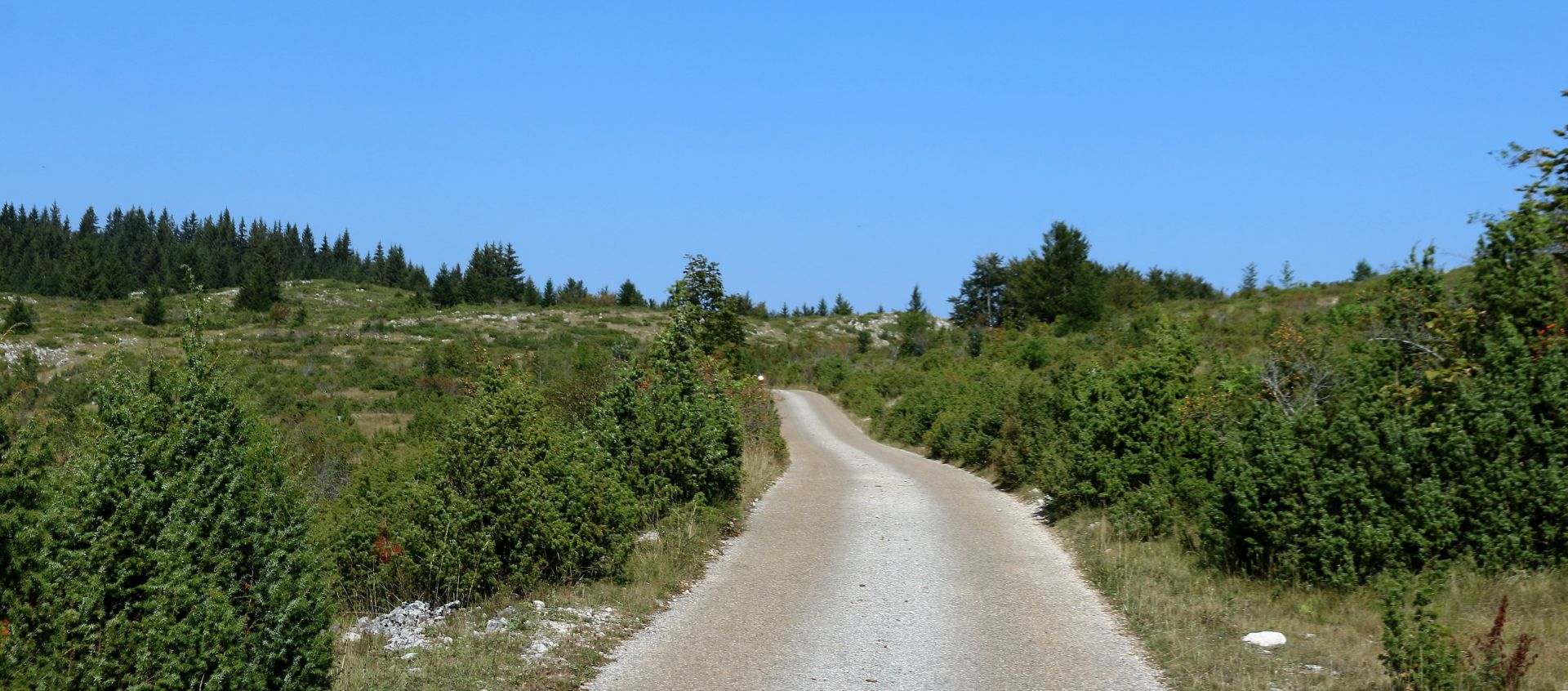 road Crkvičko polje