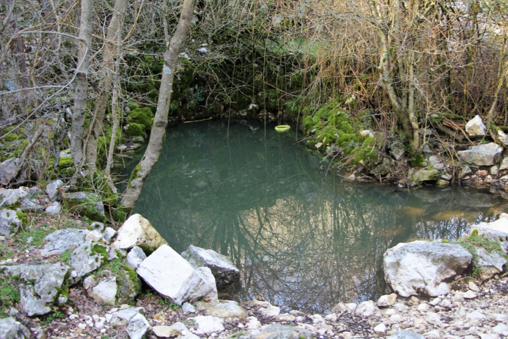 Marvučići pool for cattle