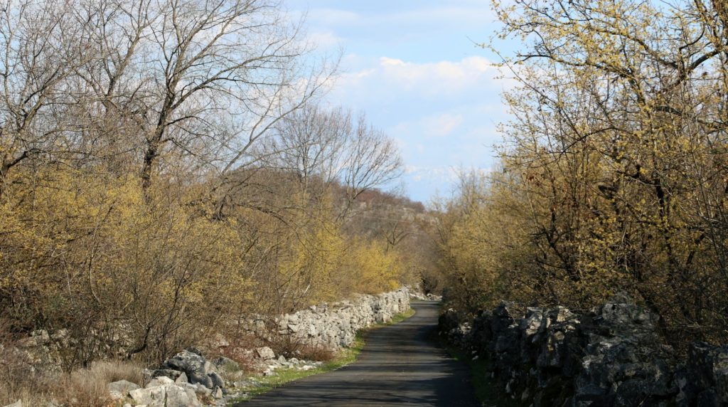Lješanska nahija road